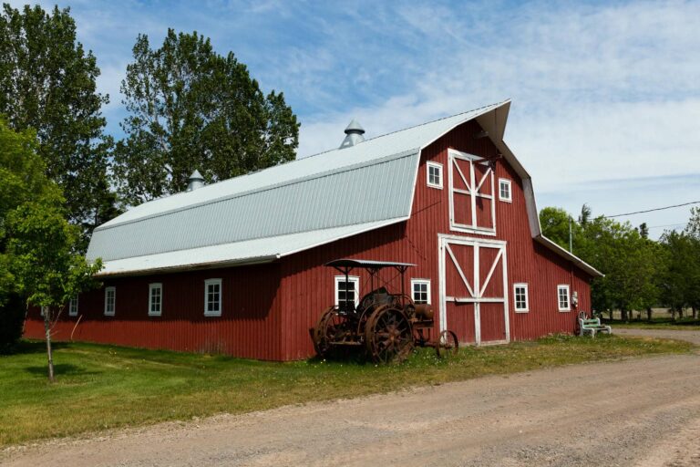 What Are Custom Metal Barn Design Options?